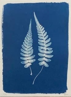 Henrietta Molinaro - Small Two Ferns - framed , 2025