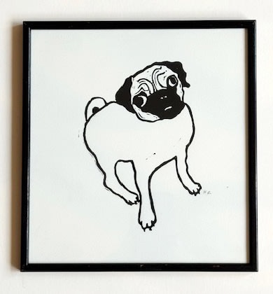 Pug