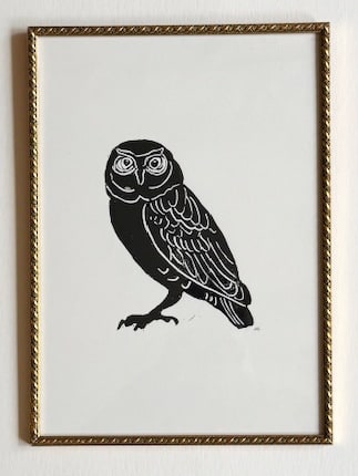 Owl 1