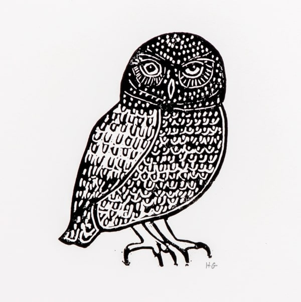 Animals & Birds