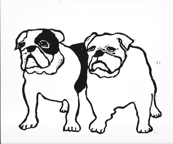 Cats & Dogs