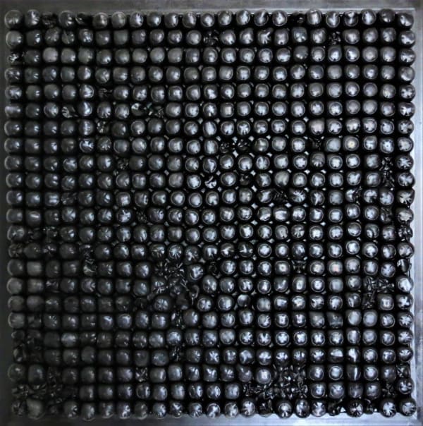 Kadarik, BN004, 2022