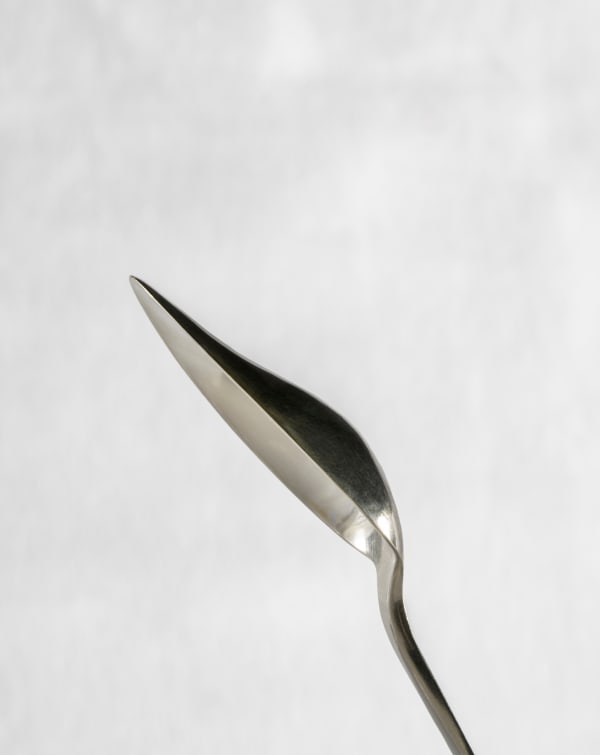 Grapefruit spoon