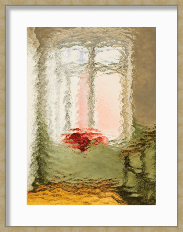 Diango Hernández, Premonición, 2022