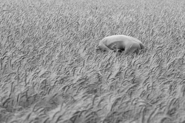 Sofia Fernández Stenström, Elena, 2015