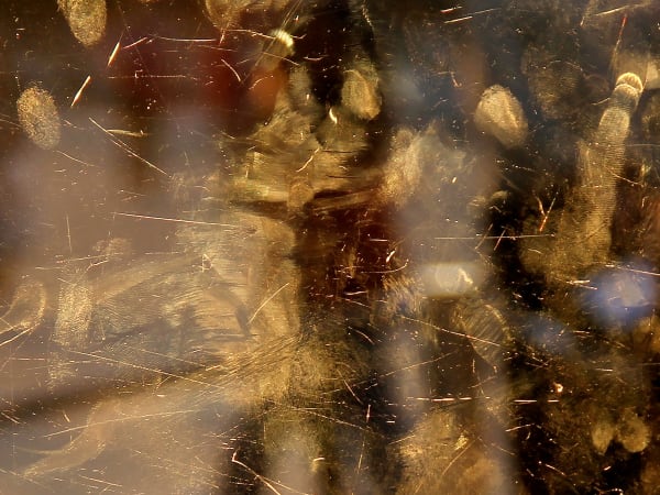 Igor Eskinja Golden fingers of Louvre 3, 2017 Digital print on archive paper on dibond 30 x 40 cm 11 3/4 x 15 3/4 in Edition of 3