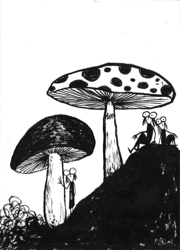 Fausto Gilberti, Funghi giganti, 2024