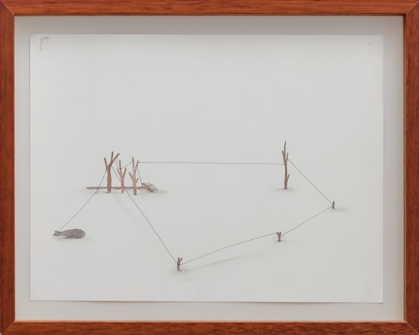 Federico Luger Ecosystem wood, broom and string, 2004 Watercolour and Ink on paper 30 x 37.8 cm 11 3/4 x 14 7/8 in