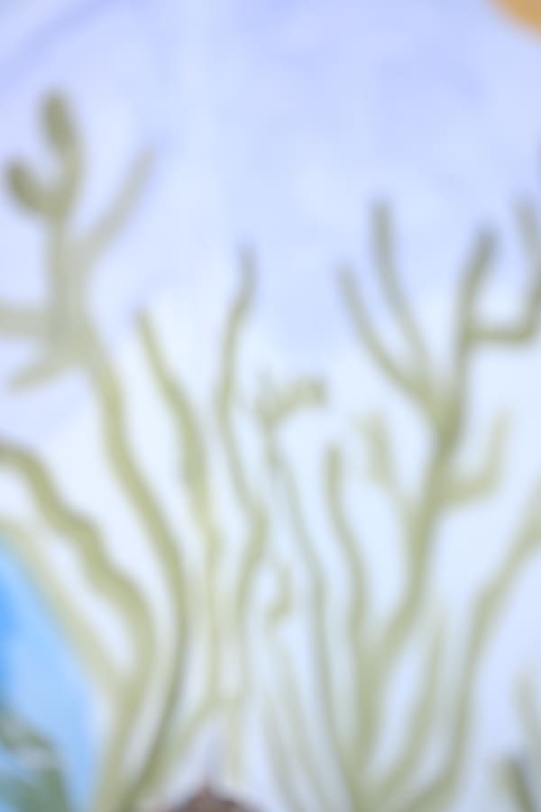Abstracts