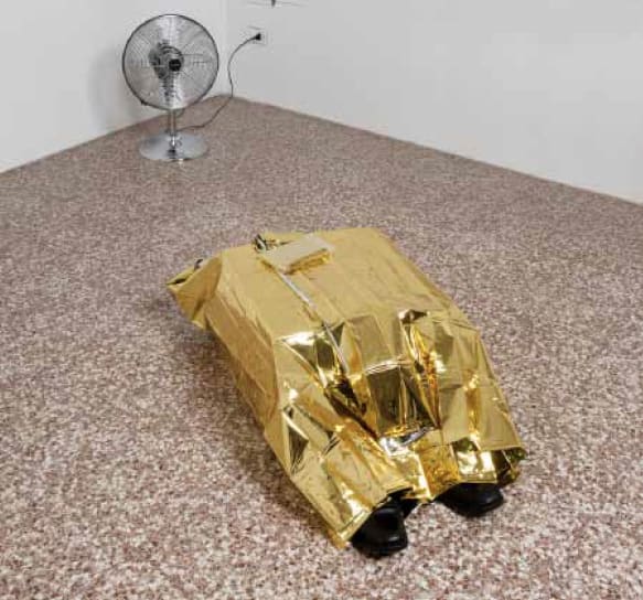 Bruna Esposito, Restituire al mittente, 2014