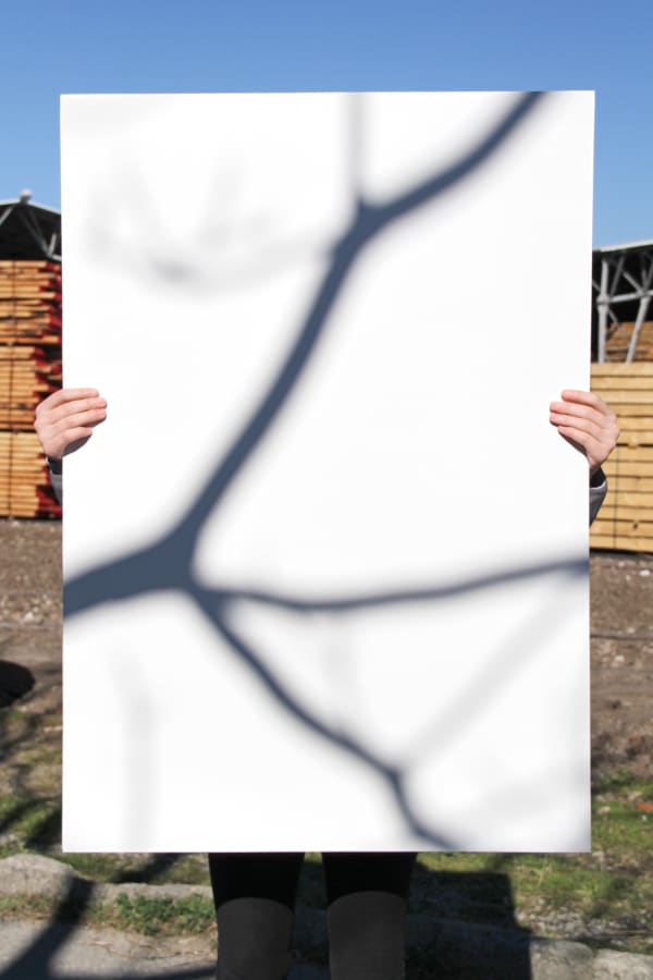 Igor Eskinja Future manifestations 1, 2024 Digital print on archival paper on Dibond 90 x 60 cm 35 3/8 x 23 5/8 in