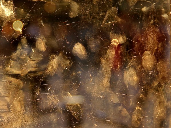 Igor Eskinja Golden fingers of Louvre 2, 2017 Digital print on archive paper on dibond 30 x 40 Edition of 3