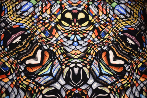 Riccardo Wolfgang, In vitro, 2016