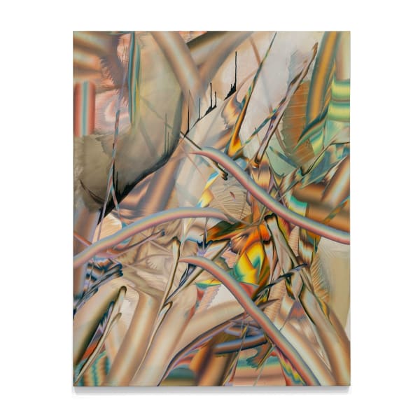 Clinton King, Wet clout, 2023