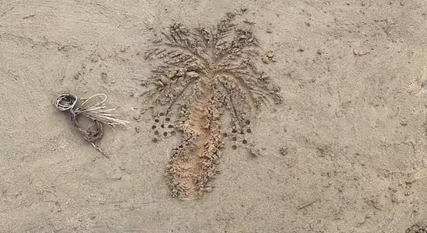 Mohammad AlFaraj, The Date Fruit of Knowledge, 2022