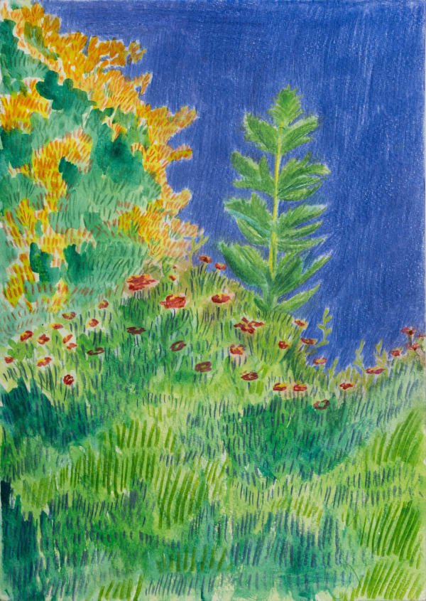 Ameni Abida, Gardin, 2024