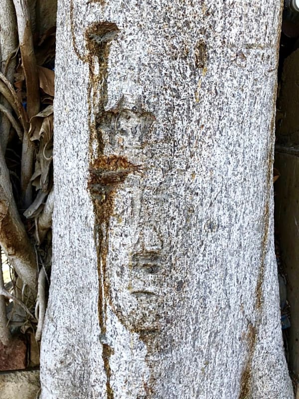 Mohammad AlFaraj, Everything has an eye, and eyes will speak at the gates of eternity, 2021