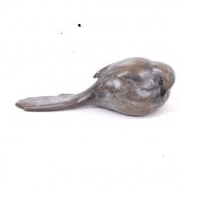 Andrew Glasby, LONG TAILED TIT
