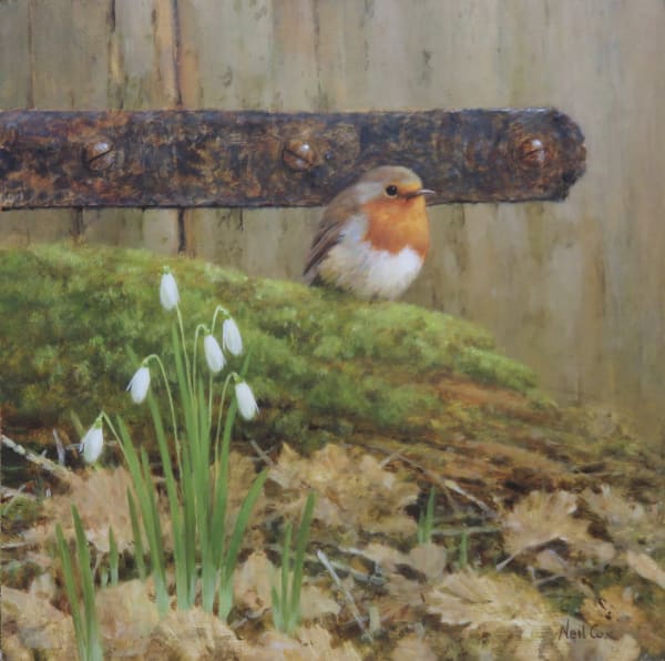 Neil Cox, ROBIN WITH SNOWDROPS