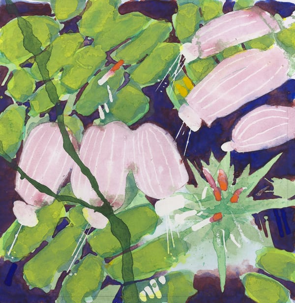 Edward Hutchison, CONCERT OF WILDFLOWERS 1