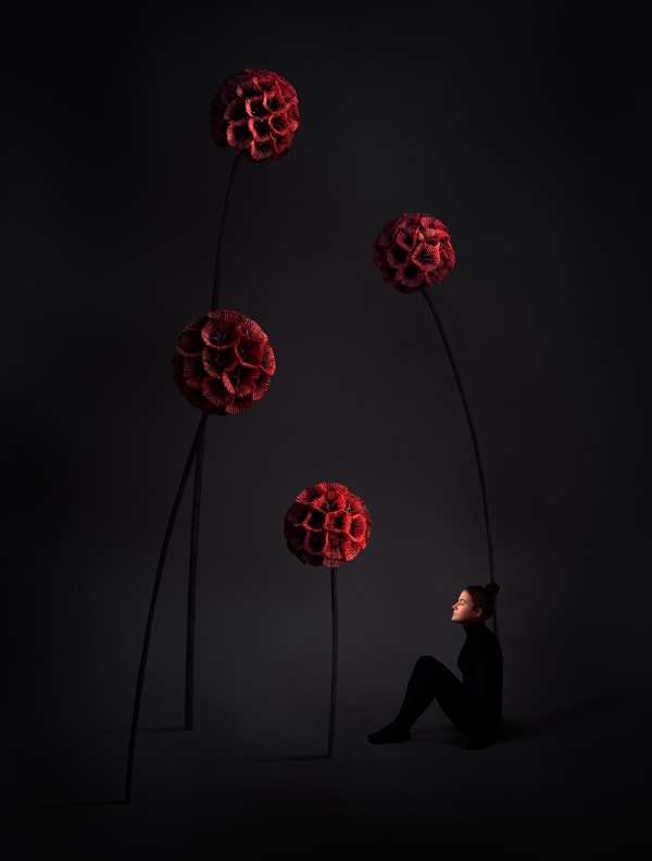 Sonja Hesslow, IGNORE ME