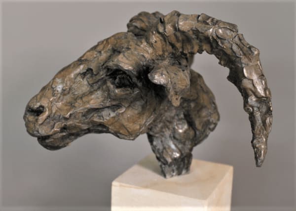 Jane Shaw MR POWER (HEAD OF A RAM) Bronze 30.5 x 22.9 x 22.9 cm 12 x 9 x 9 in 6/9