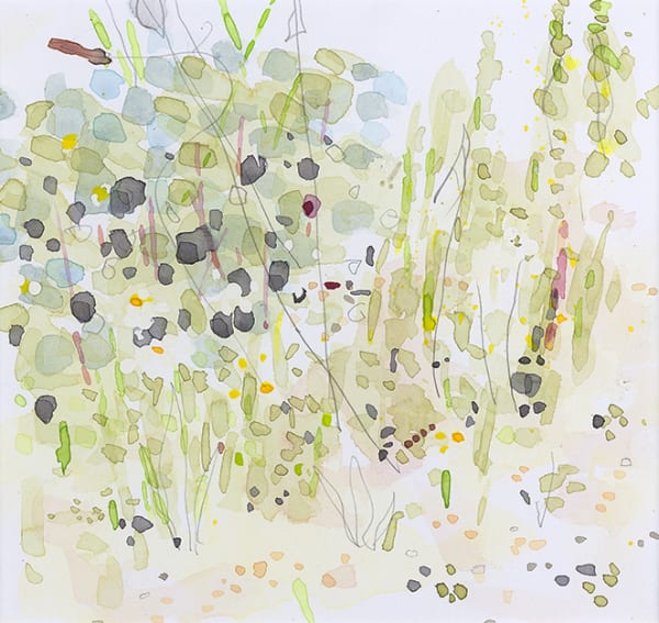 Edward Hutchison, AMONGST WILDFLOWERS 1