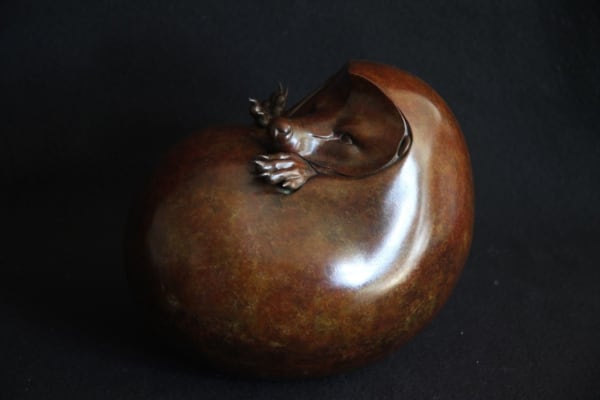 Adam Binder, HEDGEHOG II