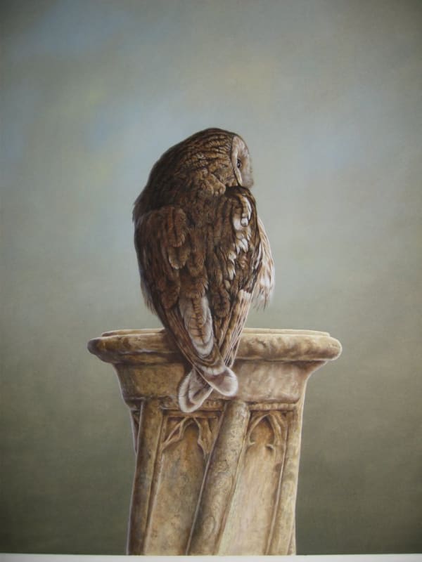 Tim Hayward, TAWNY OWL