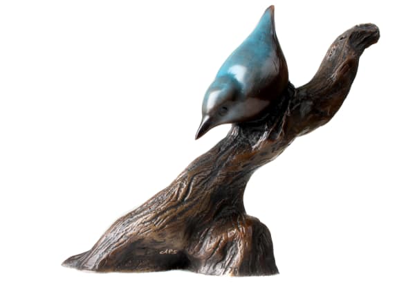 Andrew Glasby, NUTHATCH