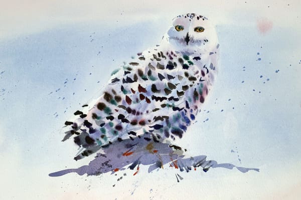 Jake Winkle, PERCHED SNOWY OWL
