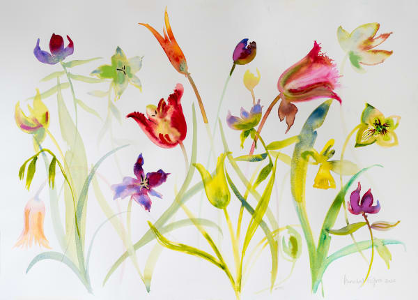 Annabel Fairfax, AMAZING TULIPS