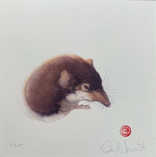Karl Martens, SHREW