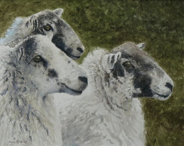 Gordon Rushmer, THE THREE GRACES