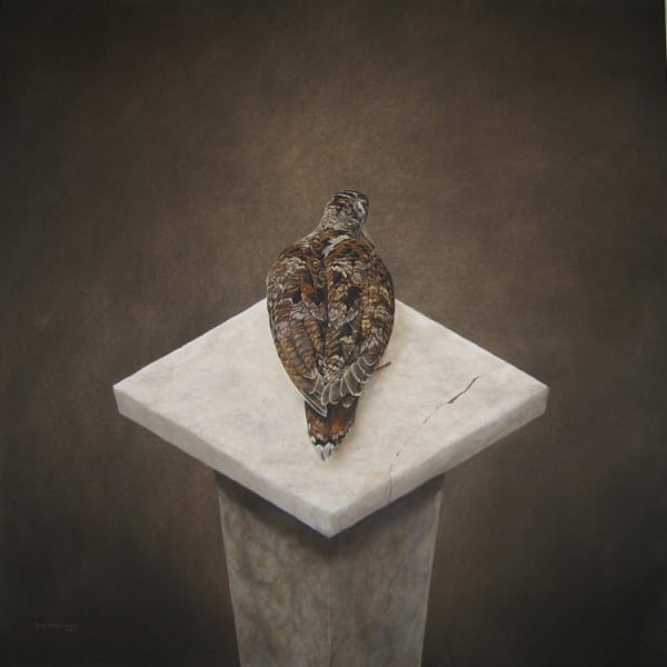 Tim Hayward, WOODCOCK ON ALABASTER