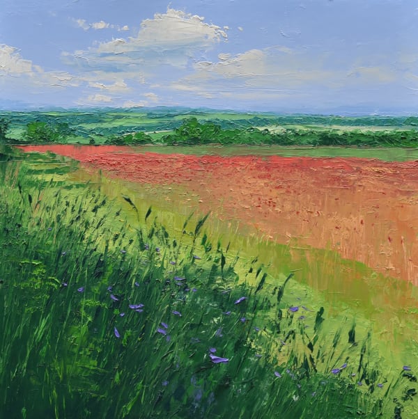 Colin Carruthers, POPPIES IN SUNLIGHT