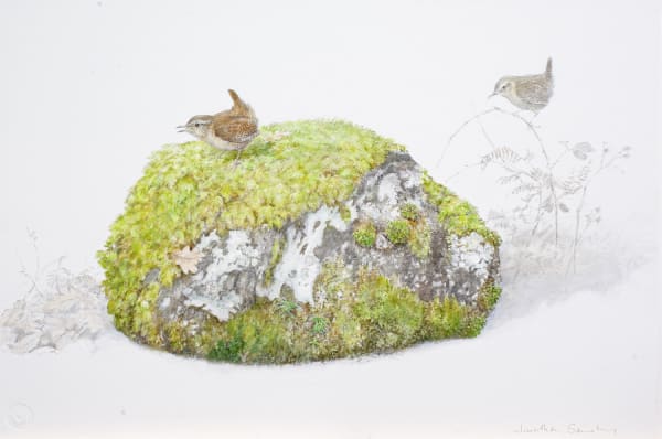 Jonathan Sainsbury TWO WREN AND ROCK Charcoal and Watercolour 22 x 15 in 55.9 x 38.1 cm