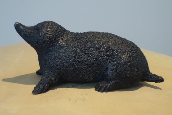 Lynda Hukins, MOLE II