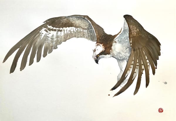 Karl Martens, OSPREY