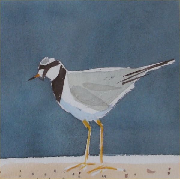 Hugh Fairfax, THE RINGED PLOVER