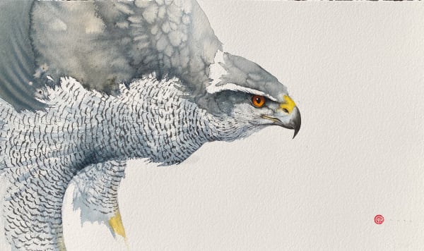 Karl Martens, GOSHAWK (Mounted)