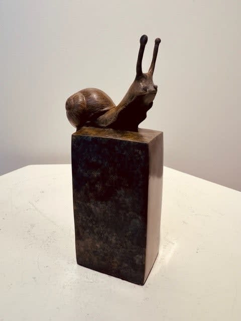 Stephen Rew, SNAIL