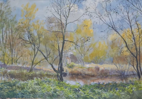 Timothy Scott Bolton, PYTHOUSE PONDS