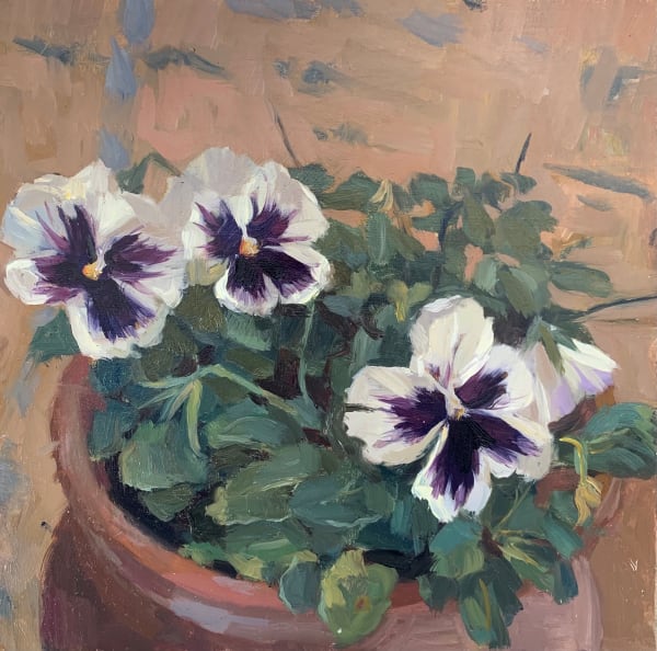 Alice Boggis-Rolfe, WINTER PANSIES