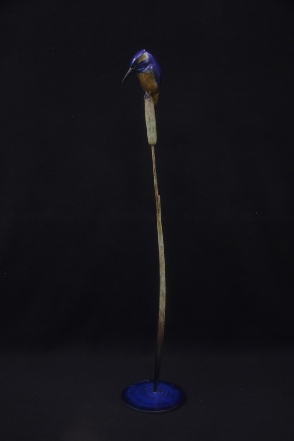 Adam Binder, KINGFISHER