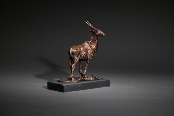 Jane Shaw STARTLED LOOK (STANDING ELAND) Bronze 11 3/8 x 9 7/8 x 4 in 29 x 25 x 10 cm 1/12