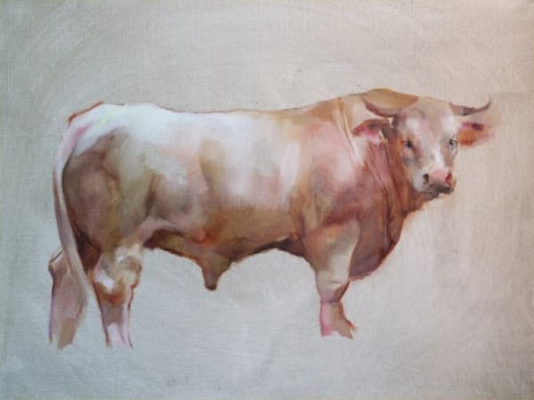 Harriet Salt, THE BULL