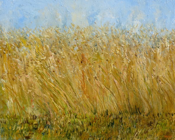 David Walsh, SUMMER WHEATFIELD