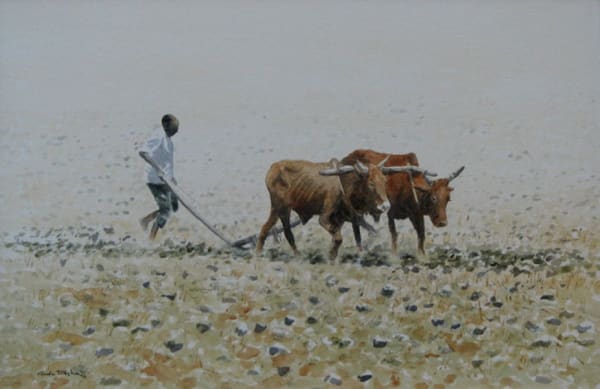 Gordon Rushmer, HARD GOING, ADI QUALA, ERITREA