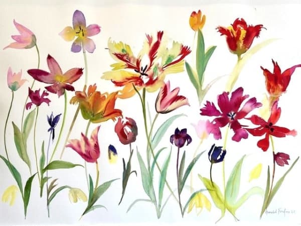 Annabel Fairfax, AMAZING TULIPS 3